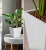 White German Polymer Square Planter Gk 10 Inch