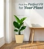 Beige German Polymer Square Planter Gk 12 Inch