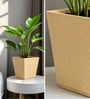 Beige German Polymer Square Planter Gk 12 Inch
