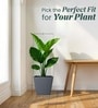 Grey German Polymer Square Planter Gk 12 Inch
