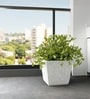 Marble White German Polymer Square Planter Gk 12 Inch