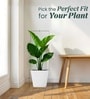 White German Polymer Square Planter Gk 12 Inch
