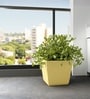 Beige German Polymer Square Planter Gk 14 Inch