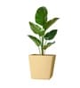 Beige German Polymer Square Planter Gk 14 Inch
