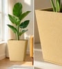 Beige German Polymer Square Planter Gk 14 Inch