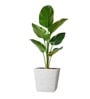 Marble White German Polymer Square Planter Gk 14 Inch