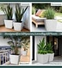 Marble White German Polymer Square Planter Gk 14 Inch