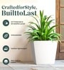 White German Polymer Square Planter Gk 14 Inch