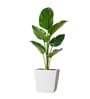 White German Polymer Square Planter Gk 14 Inch