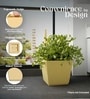 Beige German Polymer Square Planter Gk 16 Inch