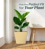 Beige German Polymer Square Planter Gk 16 Inch