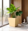 Beige German Polymer Square Planter Gk 16 Inch