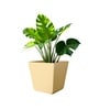 Beige German Polymer Square Planter Gk 16 Inch