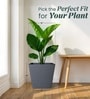 Grey German Polymer Square Planter Gk 16 Inch