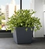 Grey German Polymer Square Planter Gk 16 Inch