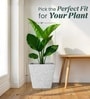 Marble White German Polymer Square Planter Gk 16 Inch