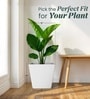 White German Polymer Square Planter Gk 16 Inch