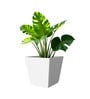 White German Polymer Square Planter Gk 16 Inch