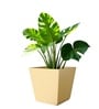 Beige German Polymer Square Planter Gk 18 Inch