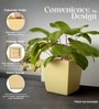 Beige German Polymer Square Planter Gk 18 Inch