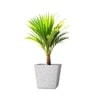 Marble White German Polymer Square Planter Gk 20 Inch