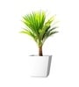 White German Polymer Square Planter Gk 20 Inch