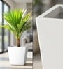 White German Polymer Square Planter Gk 20 Inch