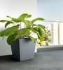 Grey German Polymer Square Planter Gk 24 Inch