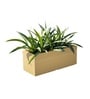 Beige German Polymer Rectangular Planter Gt 10 Inch