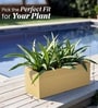 Beige German Polymer Rectangular Planter Gt 10 Inch
