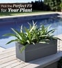 Grey German Polymer Rectangular Planter Gt 10 Inch