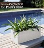 Marble White German Polymer Rectangular Planter Gt 10 Inch