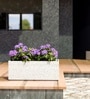 Marble White German Polymer Rectangular Planter Gt 10 Inch