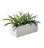 Marble White German Polymer Rectangular Planter Gt 10 Inch