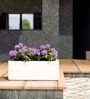 White German Polymer Rectangular Planter Gt 10 Inch