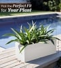 White German Polymer Rectangular Planter Gt 10 Inch
