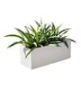 White German Polymer Rectangular Planter Gt 10 Inch