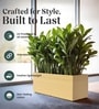 Beige German Polymer Rectangular Planter Gt 24 Inch