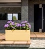 Beige German Polymer Rectangular Planter Gt 24 Inch
