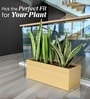 Beige German Polymer Rectangular Planter Gt 36 Inch