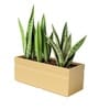 Beige German Polymer Rectangular Planter Gt 36 Inch