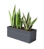 Grey German Polymer Rectangular Planter Gt 36 Inch