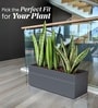 Grey German Polymer Rectangular Planter Gt 36 Inch