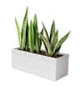Marble White German Polymer Rectangular Planter Gt 36 Inch
