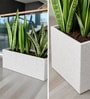 Marble White German Polymer Rectangular Planter Gt 36 Inch