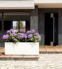 White German Polymer Rectangular Planter Gt 36 Inch
