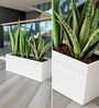 White German Polymer Rectangular Planter Gt 36 Inch