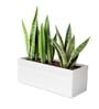 White German Polymer Rectangular Planter Gt 36 Inch
