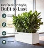 White German Polymer Rectangular Planter Gt 36 Inch