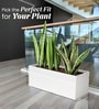 White German Polymer Rectangular Planter Gt 36 Inch